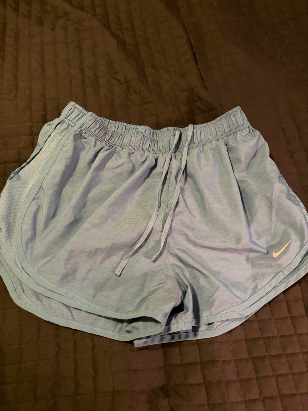 Nike Women’s Sky Blue Athletic Running Shorts